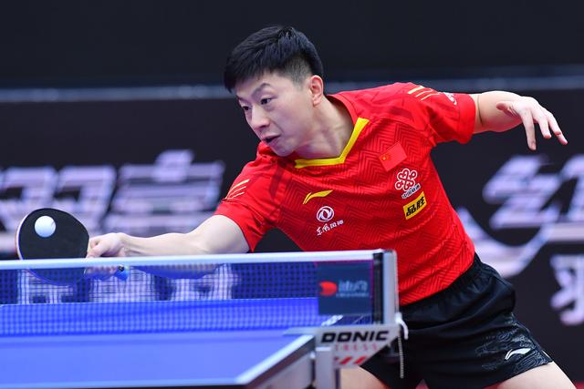 这对于雄鹿 这对于雄鹿